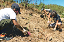 Mocamana plante 1 000 arbres à Fort Téréka (LNC 08 Avril 2019)