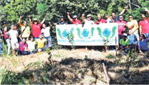 Le personnel de la GBNC a planté deux cents arbres au Ouen Toro (LNC 05 Juin 2019)
