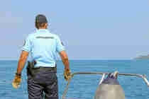 Des plaisanciers pris avec plus de 140 kilos de poissons dans leur bateau (LNC 30 Janvier 2020)