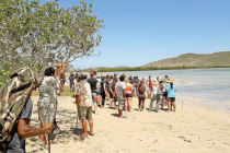 Mille nouveaux palétuviers plantés dans la mangrove de Ouano (LNC 04 Mars 2020)