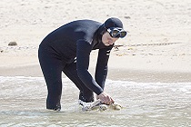 Une tortue soignée à l'Aquarium des lagons a été relâchée (LNC 03 Avril 2020)