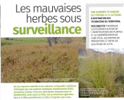 Les mauvaises herbes sous surveillance (La Calédonie AGRICOLE Octobre/ Novembre 2018)