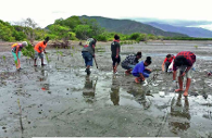 Les lycéens à la découverte de la mangrove (LNC 24 Novembre 2018)