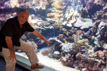 L’Aquarium abrite le plus vieux corail conservé dans un bassin au monde (LNC 08 Novembre 2019)