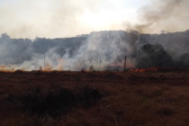 Incendie de la presqu'île de Pindaï : plus de 55 millions de préjudices (LNC 11 Décembre 2019)