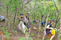 Au Mont Vénus, un renfort de volontaires pour répandre la forêt sèche (LNC 11 Mai 2020)