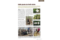 5000 plants de forêt sèche (La Pays n°172 - Mai 2021)